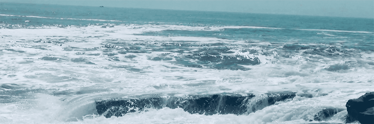 1hBi2XdCnMuJJNYk6ExcFFLbvY