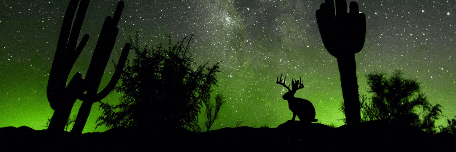 3aLUJ2vbYnqN5sUERxRwk4oMTo