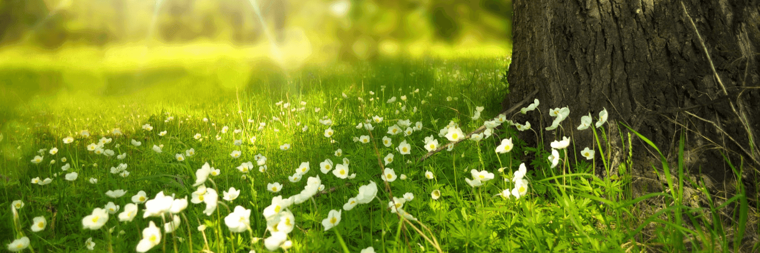 Pq2PY3Of5u2ByVzzOSMFW5DFc