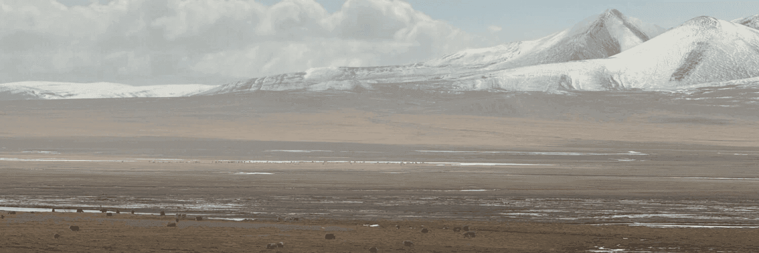 QEfSfcijGU3pRw7KF4yVztLqpVQ