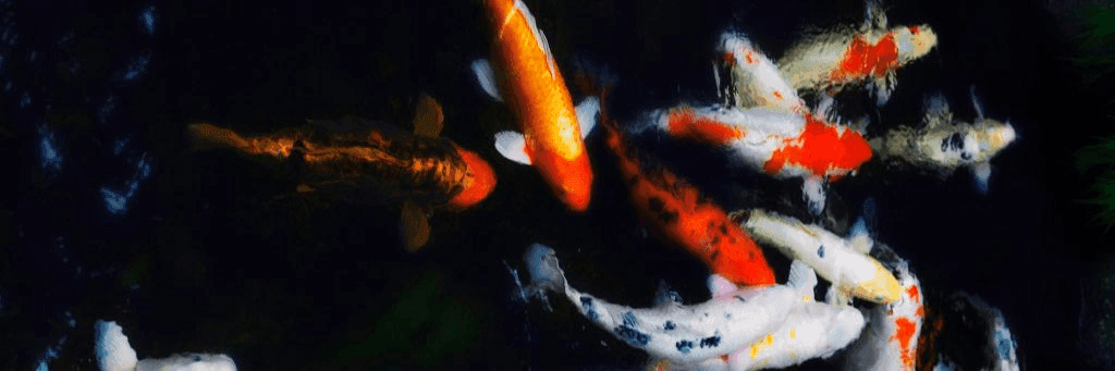 Z6zniiebyNdBwVK6xQxwqL8W2c