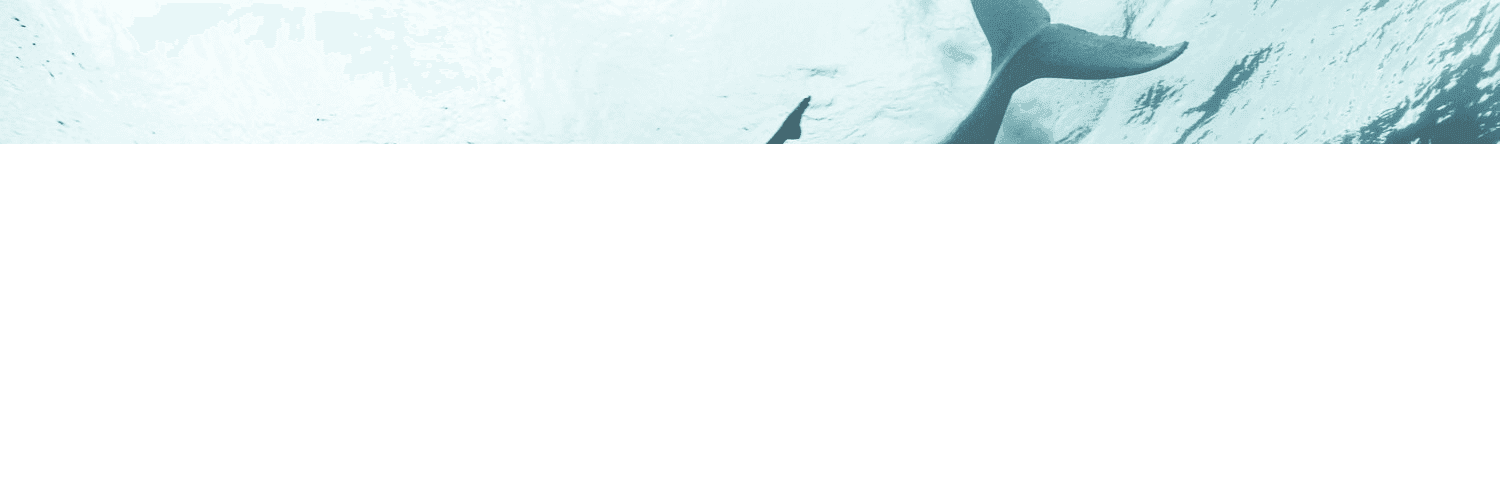 fGp9ILBCv4S6P4sr6rSZRbrvvA