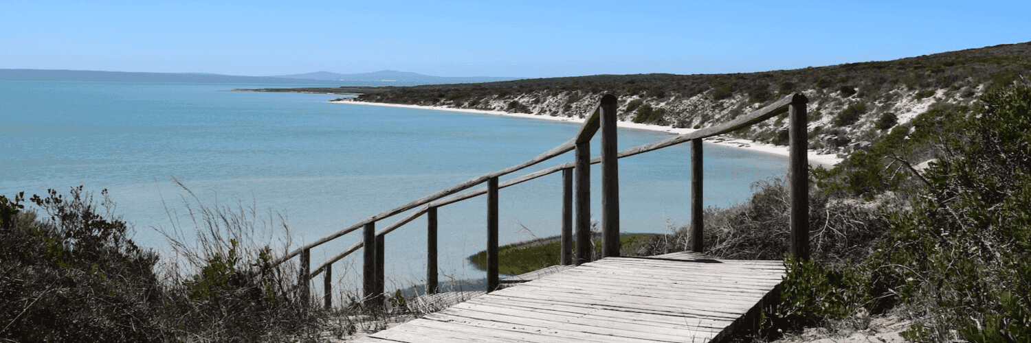 1HeVNhFkuM6FVYD0p86Ch5DX4