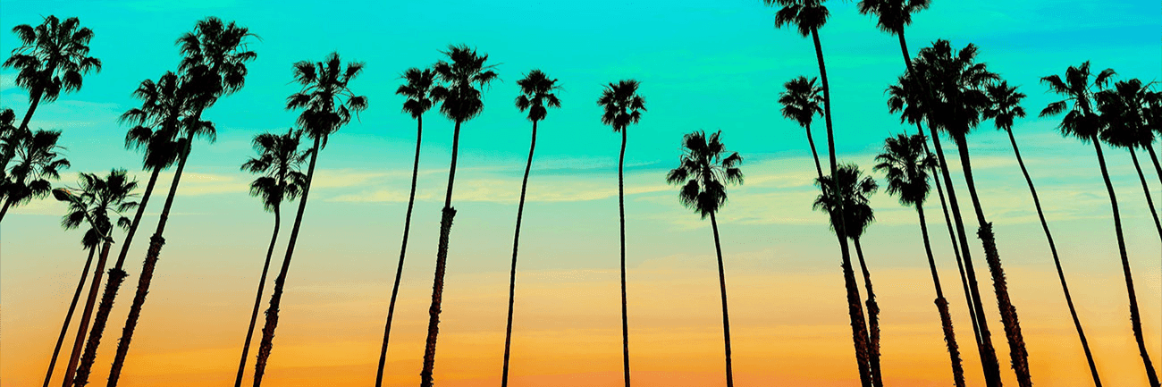 2SGz2xtEDakIrWZaBcAqgOBFJI