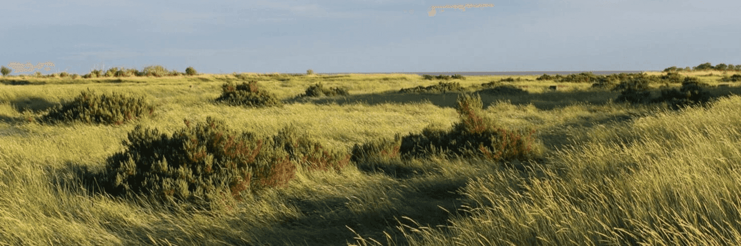 FhkfztXuiqv0ARkkWcfeOS1fp8