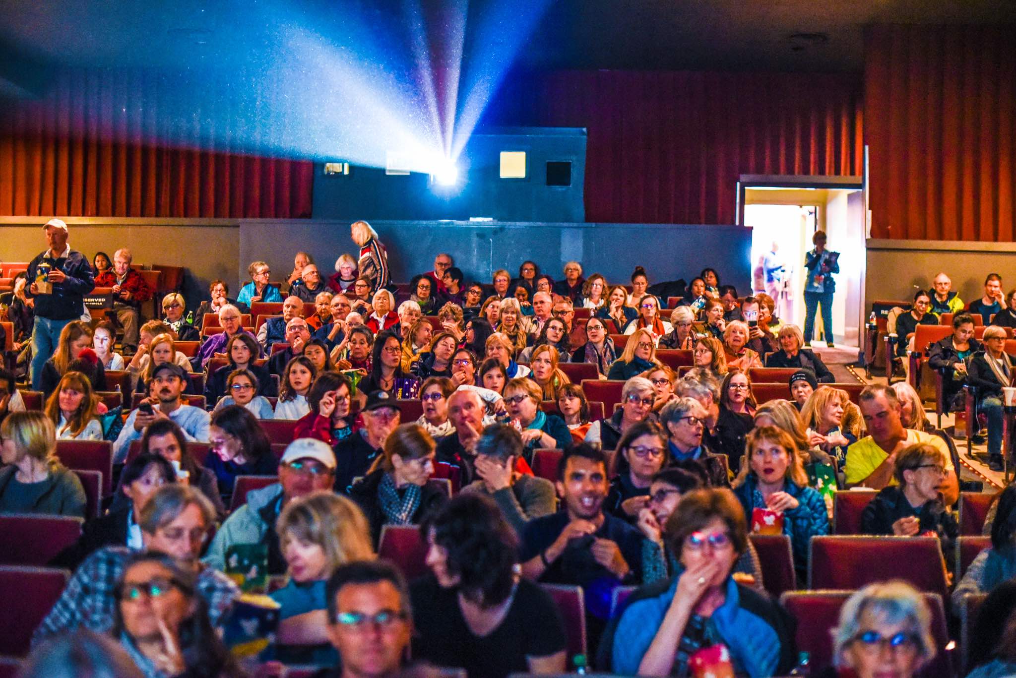 Calgary International Film Festival