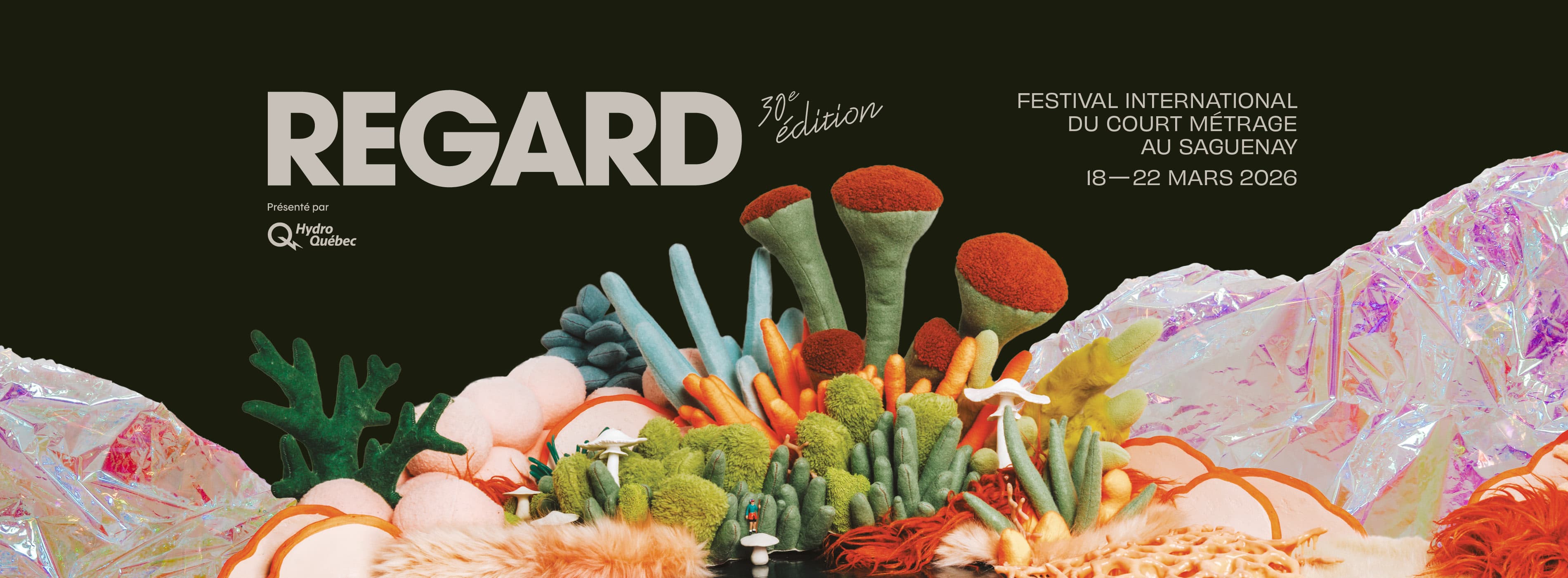 Regard – Saguenay International Short Film Festival
